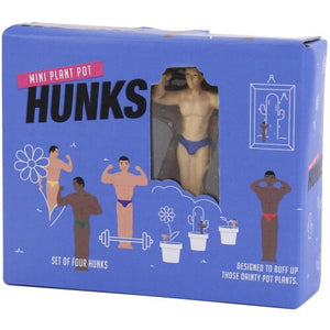 Mini Plant Pot Hunks in box